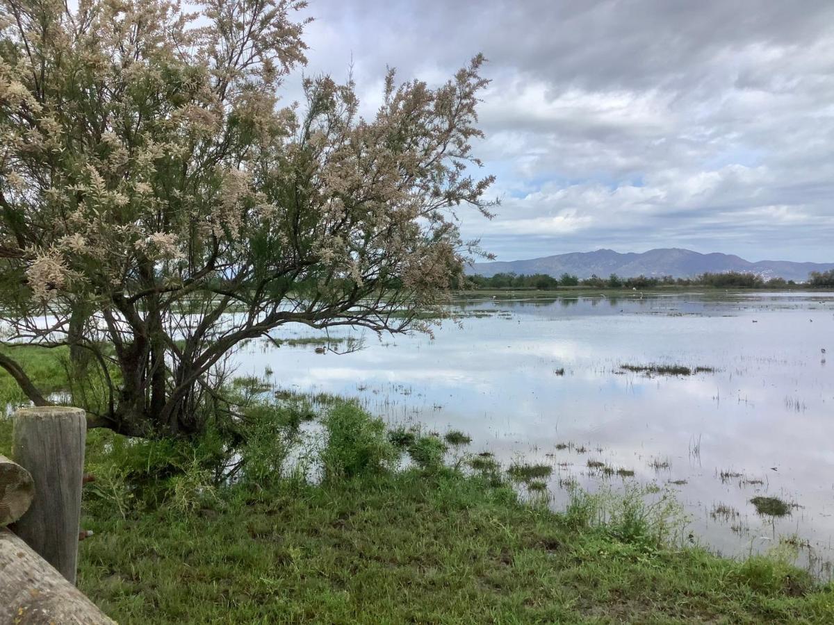 Fonoll Mari - Roses Far Lägenhet Exteriör bild